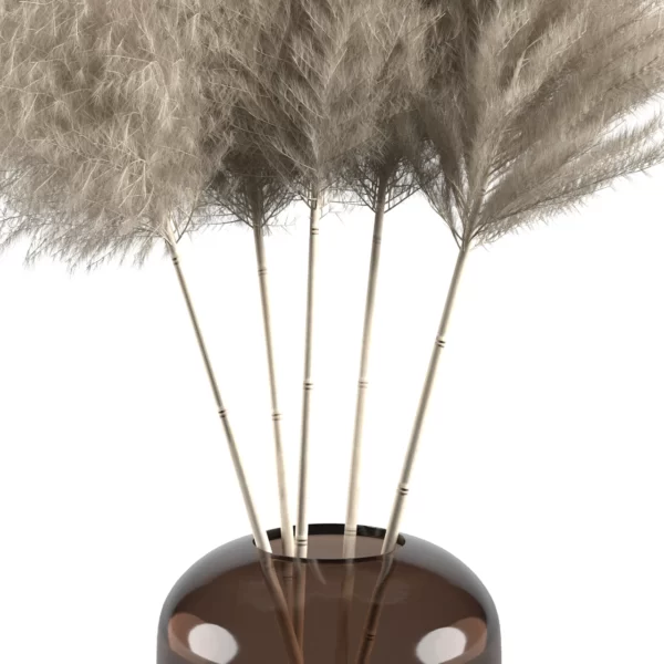 Pampas Vase - Image 2